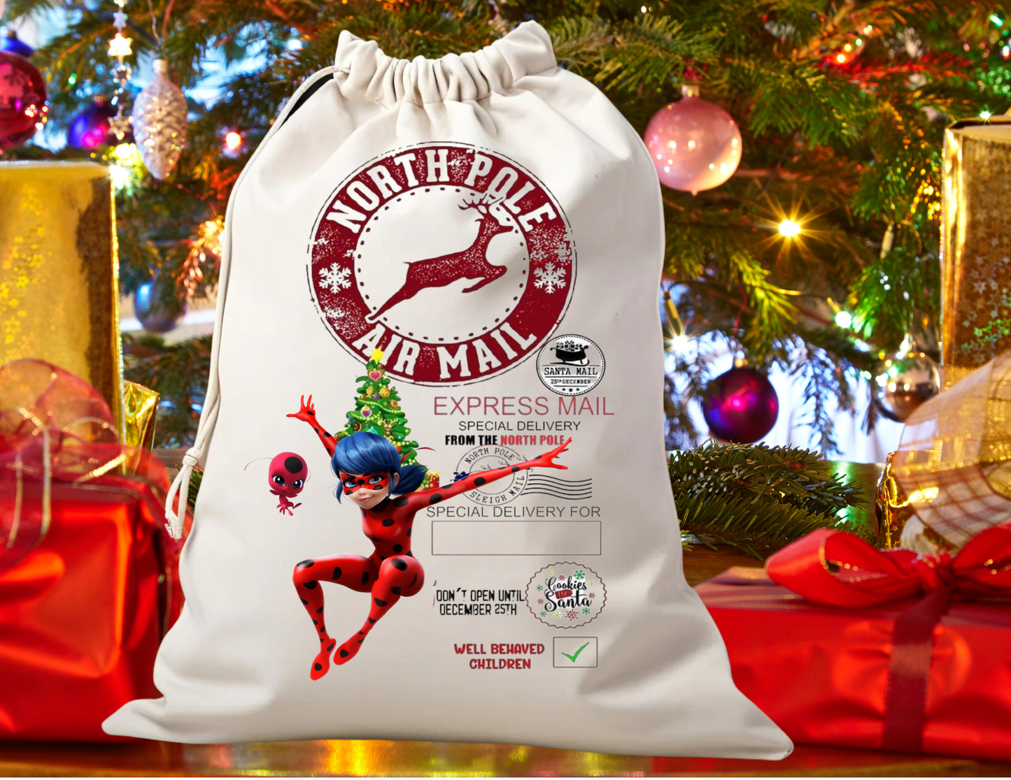 Santa sack Miraculous ladybug
