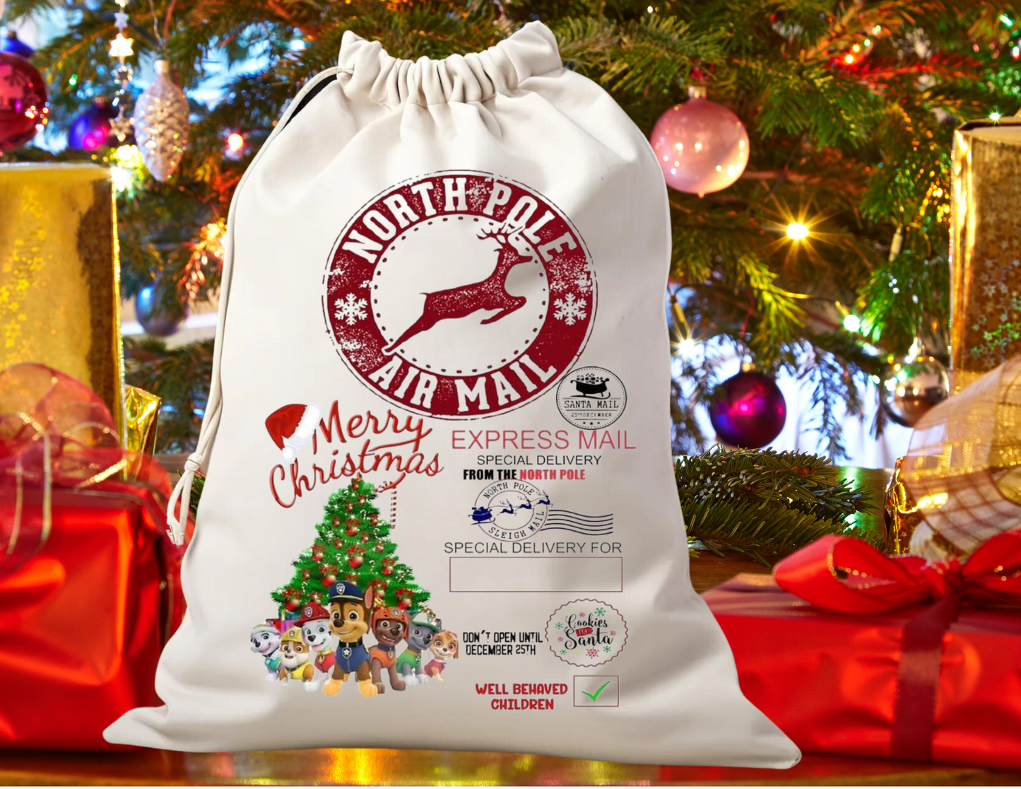 santa sack Paw Patrol