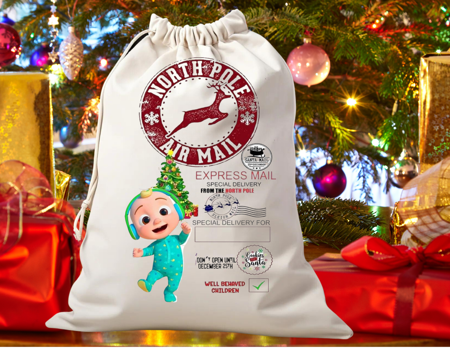 Santa sack cocomelon