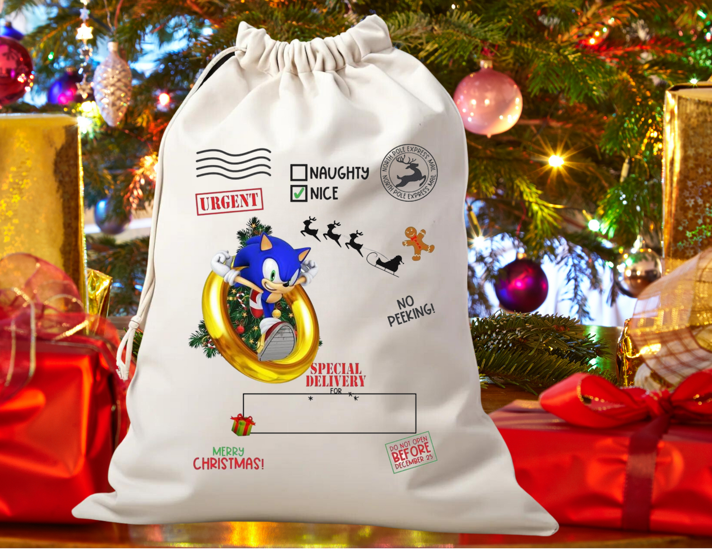 Santa sack sonic